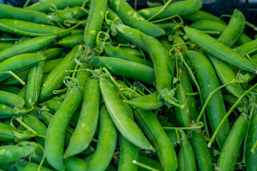 Sweet green pea pods for sale on Polish farmers market