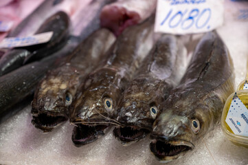 Assortment of fresh catch of fishes, seashells, molluscs on ice on fish market in Spain