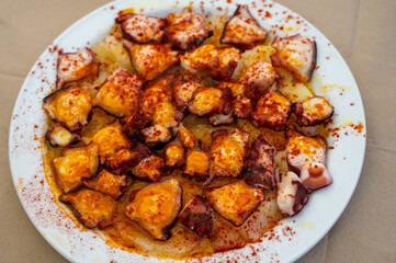 Tasty seafood, grilled octopus galician style with red pimento paprika and potatoes