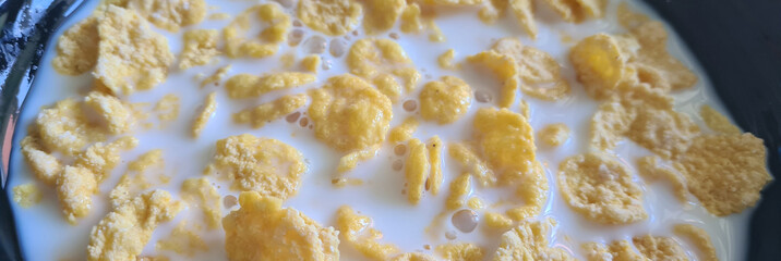 Obraz na płótnie Canvas Corn sweet flakes in milk in black plate closeup