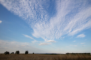 Unusual scenery with cirrus cumulus clouds against the background of fields with trees on the horizon.