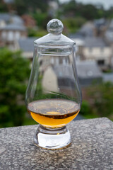 Glassof scotch whiskey with view on old houses on background, Edinburgh whisky tasting tour, Scotland
