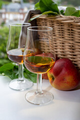 Tasting of strong alcoholic drink calvados made from apples in Normandy, Calvados region, France