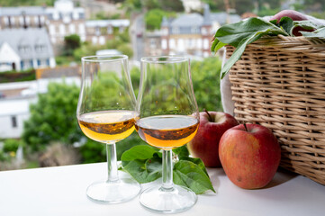 Tasting of strong alcoholic drink calvados made from apples in Normandy, Calvados region, France