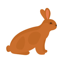 Rabbit or hare cartoon bunny pet. Animal icon and farm breed easter. Rodent isolated white vector illustration and adorable furry animal. Drawing wildlife and zoo rabbit sign fauna