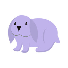Rabbit or hare cartoon bunny pet. Animal icon and farm breed easter. Rodent isolated white vector illustration and adorable furry animal. Drawing wildlife and zoo rabbit sign fauna
