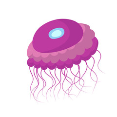 Jellyfish cartoon isolated medusa and biology jelly fish. Marine and water life animal vector illustration. Colorful exotic undersea wildlife with tentacle and sea nature icon