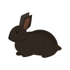 Rabbit or hare cartoon bunny pet. Animal icon and farm breed easter. Rodent isolated white vector illustration and adorable furry animal. Drawing wildlife and zoo rabbit sign fauna