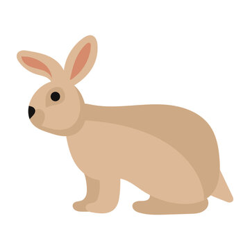 Rabbit or hare cartoon bunny pet. Animal icon and farm breed easter. Rodent isolated white vector illustration and adorable furry animal. Drawing wildlife and zoo rabbit sign fauna