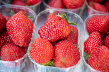 Seasonal fruits, red sweet ripe strawberries for sale on french farmers market