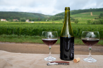 Tasting of red dry pinot noir wine in glass on premier and grand cru vineyards in Burgundy wine...