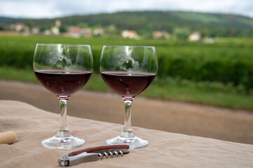 Tasting of red dry pinot noir wine in glass on premier and grand cru vineyards in Burgundy wine...