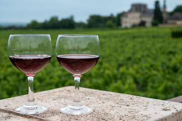 Tasting of red dry pinot noir wine in glass on premier and grand cru vineyards in Burgundy wine making region near Vosne-Romanée village, France