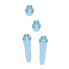 Hare footprints concept. Cute rabbit footprints. Isolated illustration on a white background. Vector illustration.