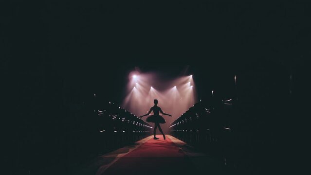 Graceful hard-working ballerina dancing i in spotlight. Silhouette   Diligent ballet dancer performing dancing elements of classical ballet. Slow motion.