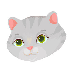 Cute face of the Gray cat. Pet. Kitten. Vector illustration.