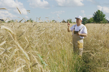 A farmer inspects a field with growing wheat, writes down data on a tablet.
