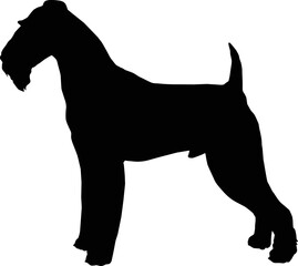 Airedale Terrier