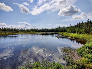Clear sky reflected in water