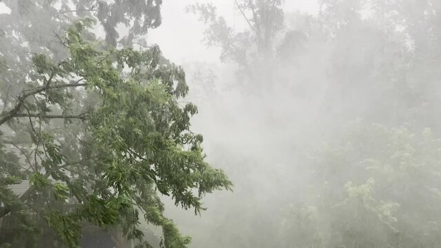 Heavy Rainfall