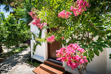 Bungalow house in the green garden