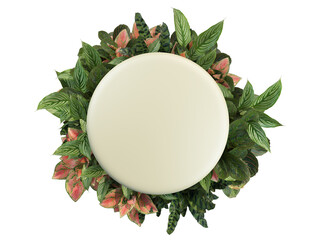 Fototapeta premium Signs decorated with plants on a white background.