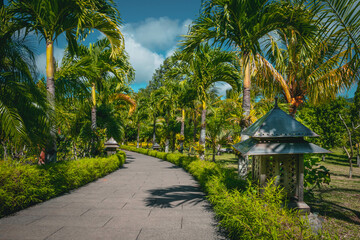 Foot path in tropical garden