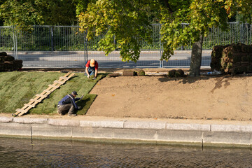 Laying of rolled lawn made of fresh grass along canal with rippling water on sunny summer day in...