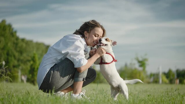 Young woman in the park with her beloved pet. Funny Jack Russell Terrier with his mistress.