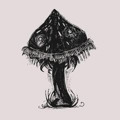 Mushroom graphic vector art drawing.