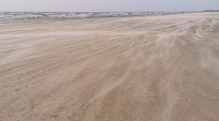 A strong wind sweeps the sand across the beach.