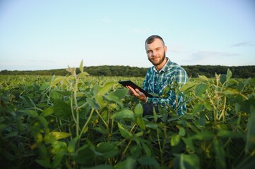 Young agronomist holds tablet touch pad computer in the soy field and examining crops before harvesting. Agribusiness concept. agricultural engineer standing in a soy field with a tablet in summer.