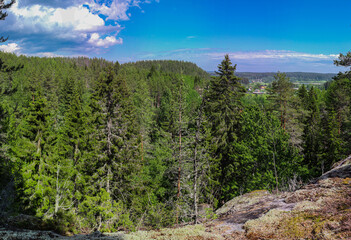 Fototapeta na wymiar View from the cliff to the forest during the day