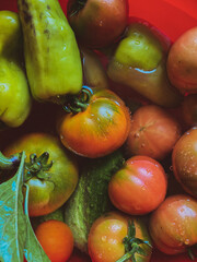 fruits and vegetables