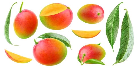 Isolated mango collection. Multicolored red and green mango fruits of different shapes, pieces and...