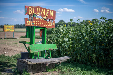 Schild Blumen zum selber pflücken