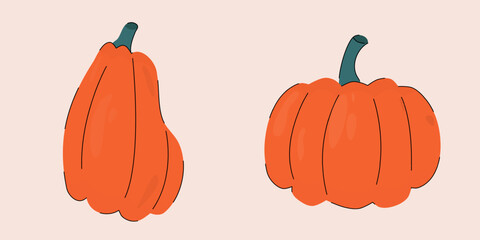 Pumpkin. Autumn pumpkins. Orange pumpkins of different shapes. Vector illustration of pumpkins in flat cartoon style