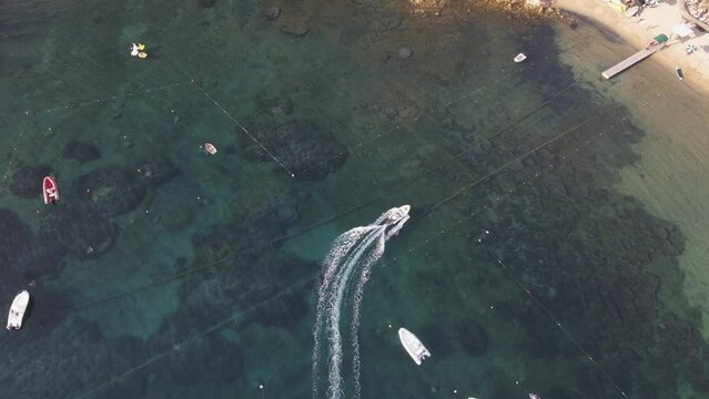 Aerial view of sailing and fishing boats docked in a small bay in Procchio near Marciana Marina, Elba Island, Italy.