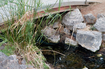 Obraz premium Mini puente rodeado de piedras.