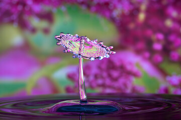 Crystal spin wheel, umbrella, mushroom, flying hat, sunflower, a person wearing a hat shapes -...