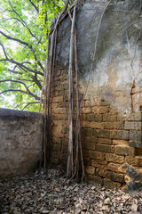 SANKHEDA GUJARAT INDIA AUGUST 07 2022 : A very old house that has been taken over by trees and very scary woke up with no people around woke up completely desolate.