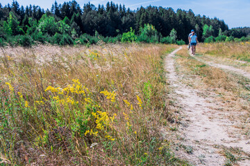 Summer rural landscape. Field, forest and blue sky.