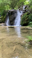 Naklejka premium waterfall in the forest