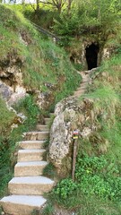 Stair path in the forest