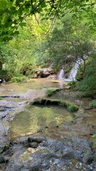 Obraz premium stream in the forest