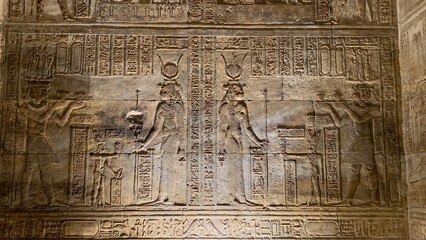 detail of a hiéroglyph