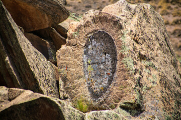 The Petrified Forest looking a a Petrified Log
