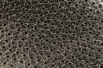Pattern of silver perforated skin background