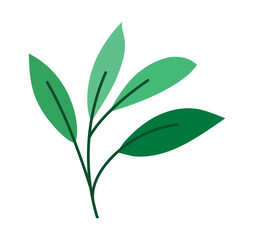 Obraz premium branch tree image
