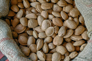 Closeup of portion of almond